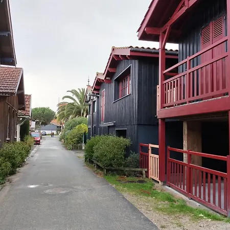 Cocon Evasion Claouey Cap Ferret