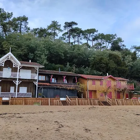 Cocon Evasion Claouey Cap Ferret