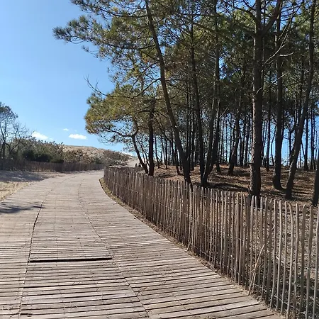 Cocon évasion Claouey Cap Ferret Lège-Cap-Ferret